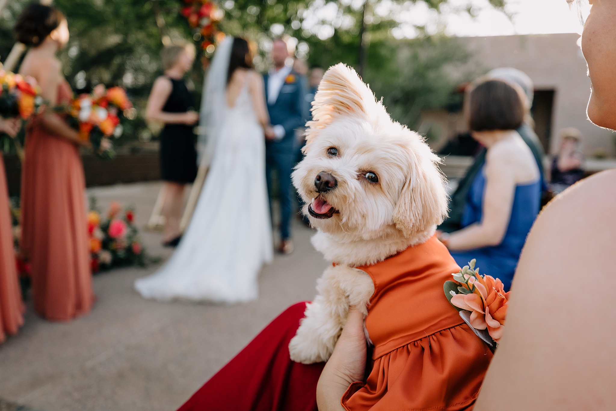 Wedding at the Desert Botanical Gardens in Phoenix, Arizona, Wedding by The Hoskins Photography