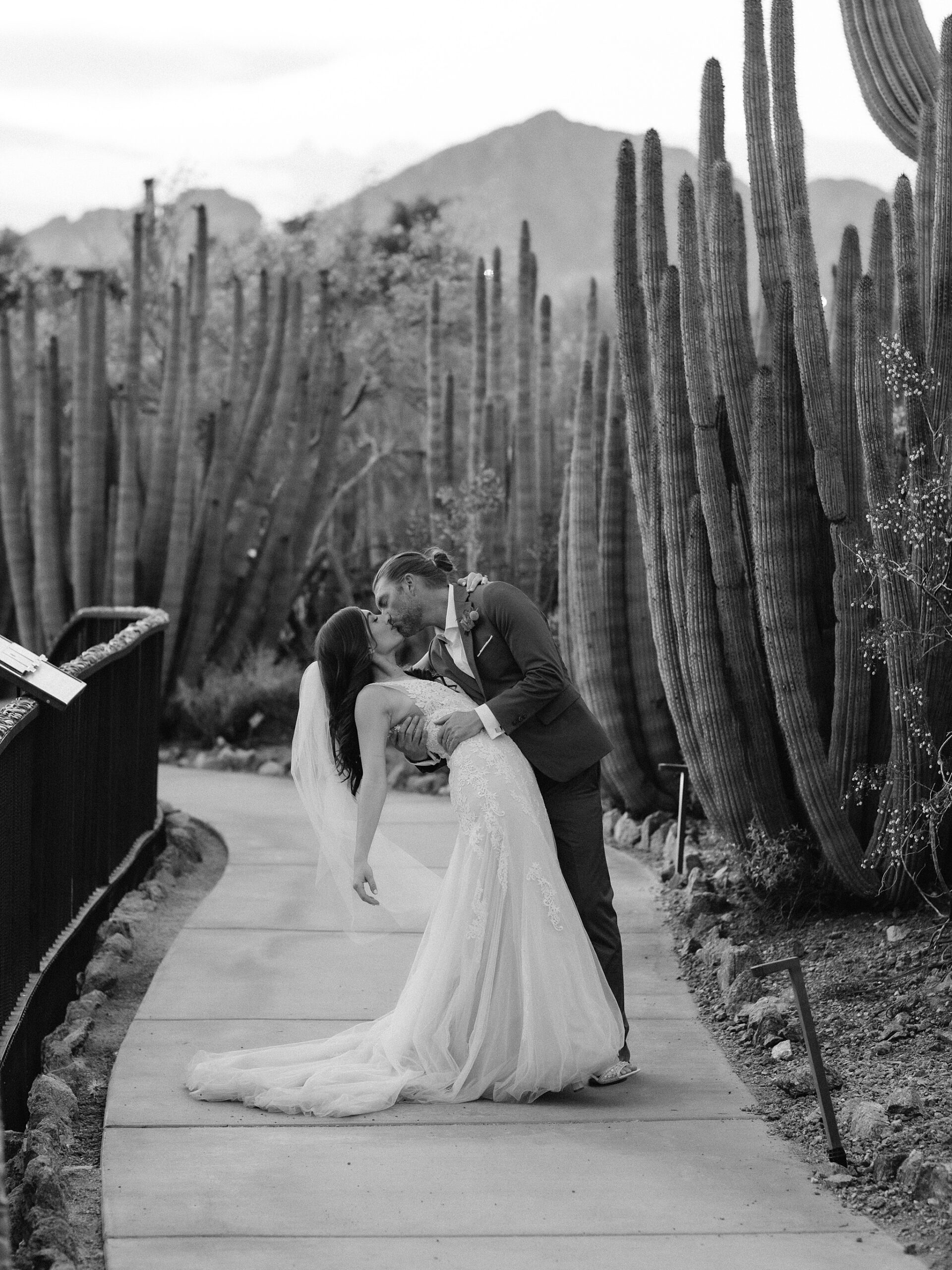 Wedding at the Desert Botanical Gardens in Phoenix, Arizona, Wedding by The Hoskins Photography