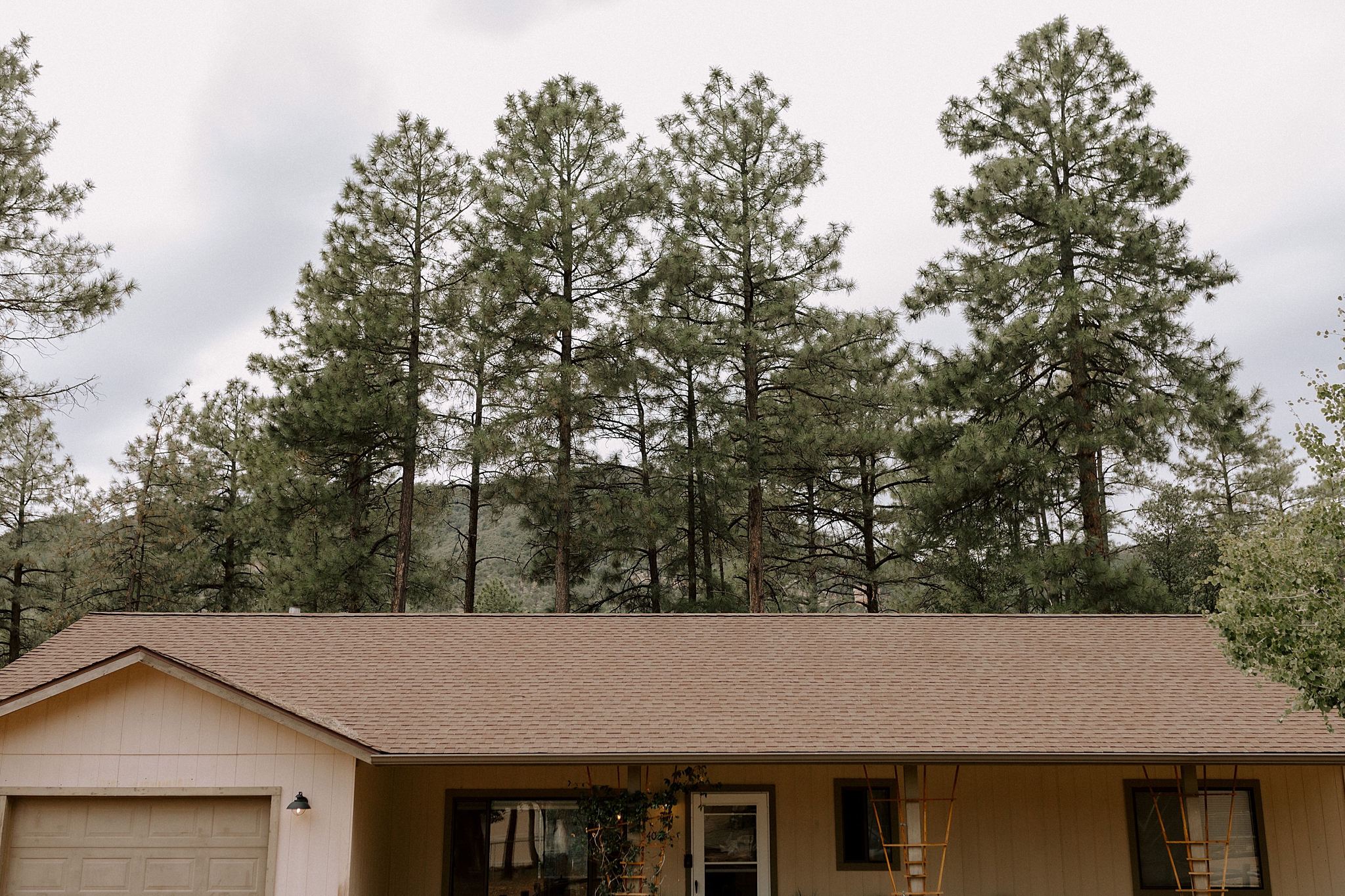 Wedding on the Mogollon Rim in Strawberry, Arizona, Phoenix Wedding Photographer