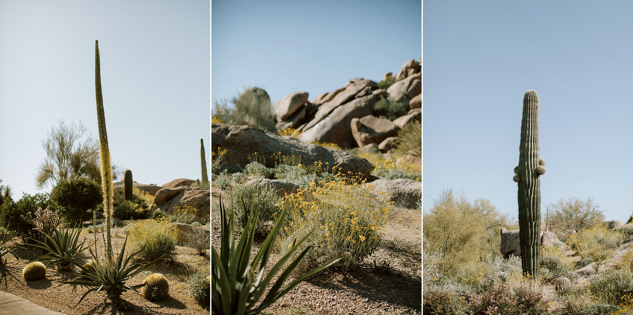 The Boulders Resort, The Boulders Resort Wedding, Phoenix Wedding Photographer