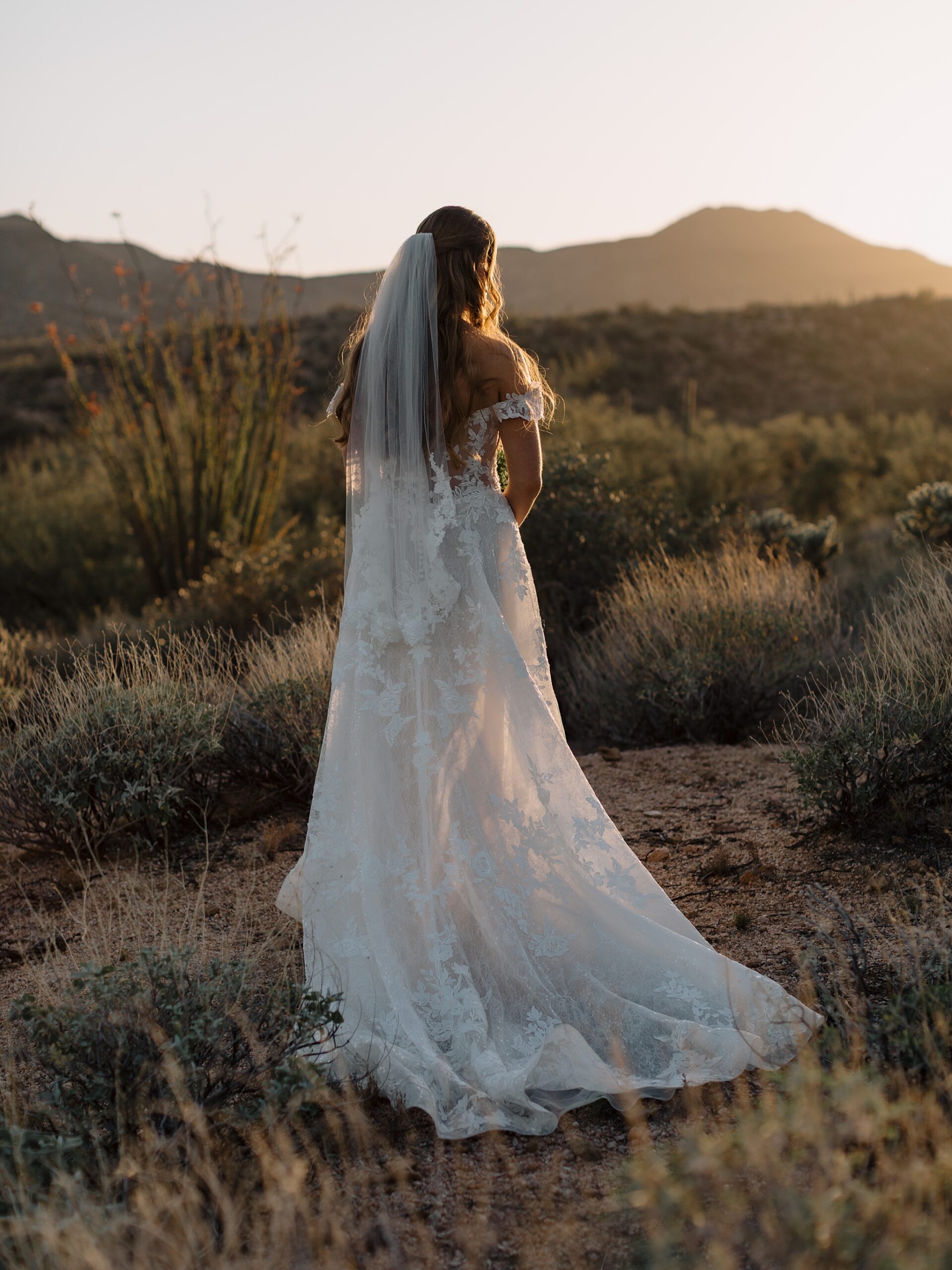 Elegant desert bridal photo at The Cove, Bartlett Lake
