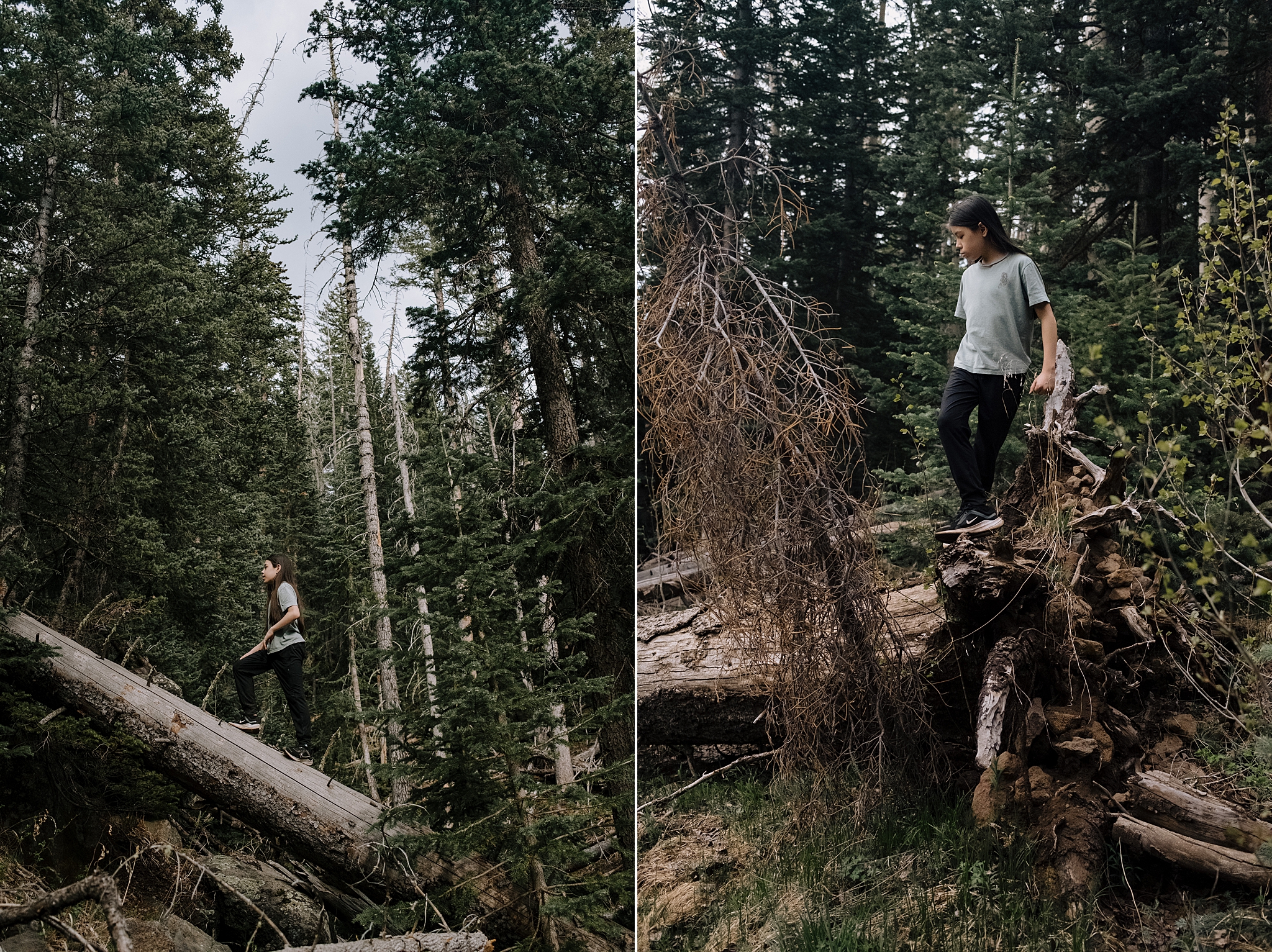 Hiking Humphreys Peak