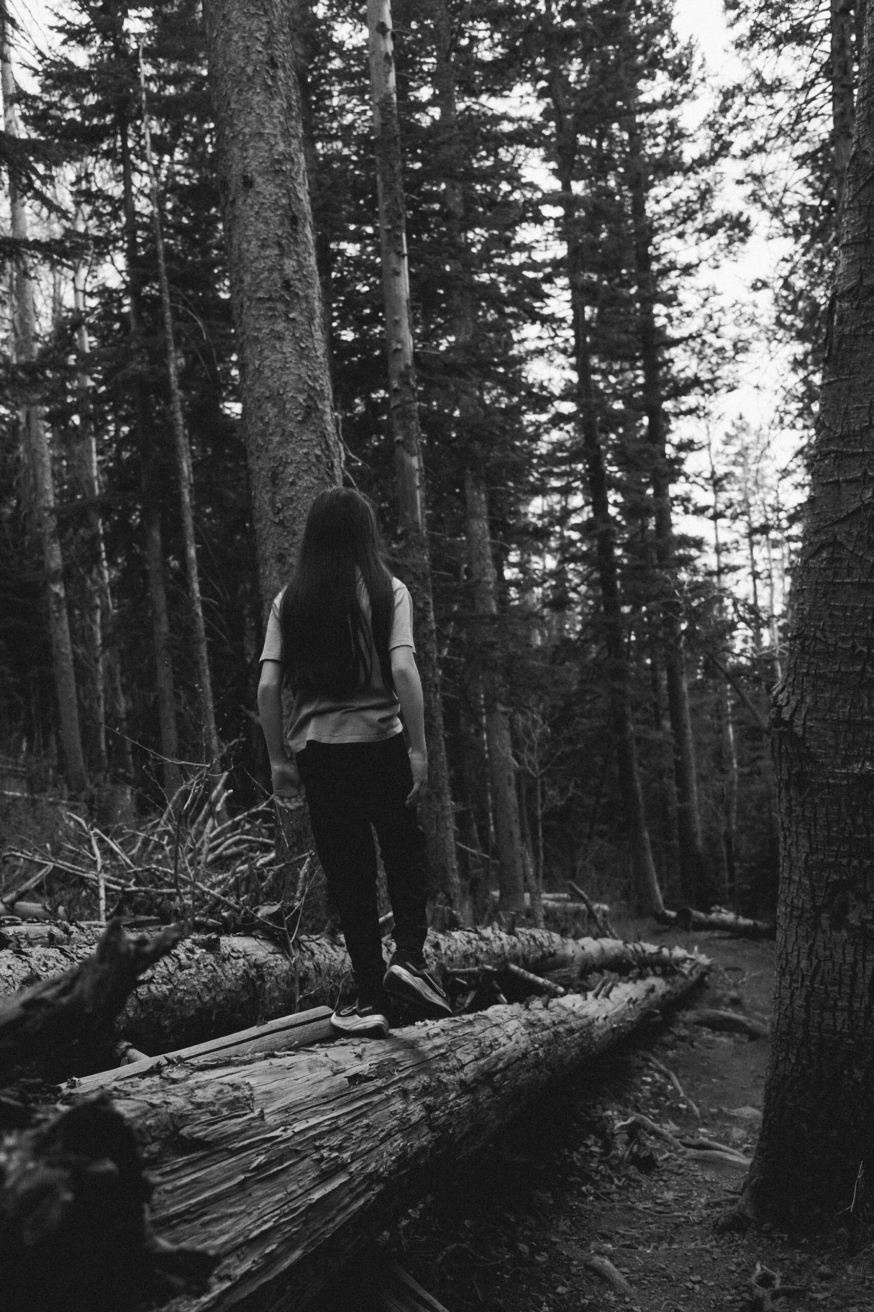 Hiking Humphreys Peak