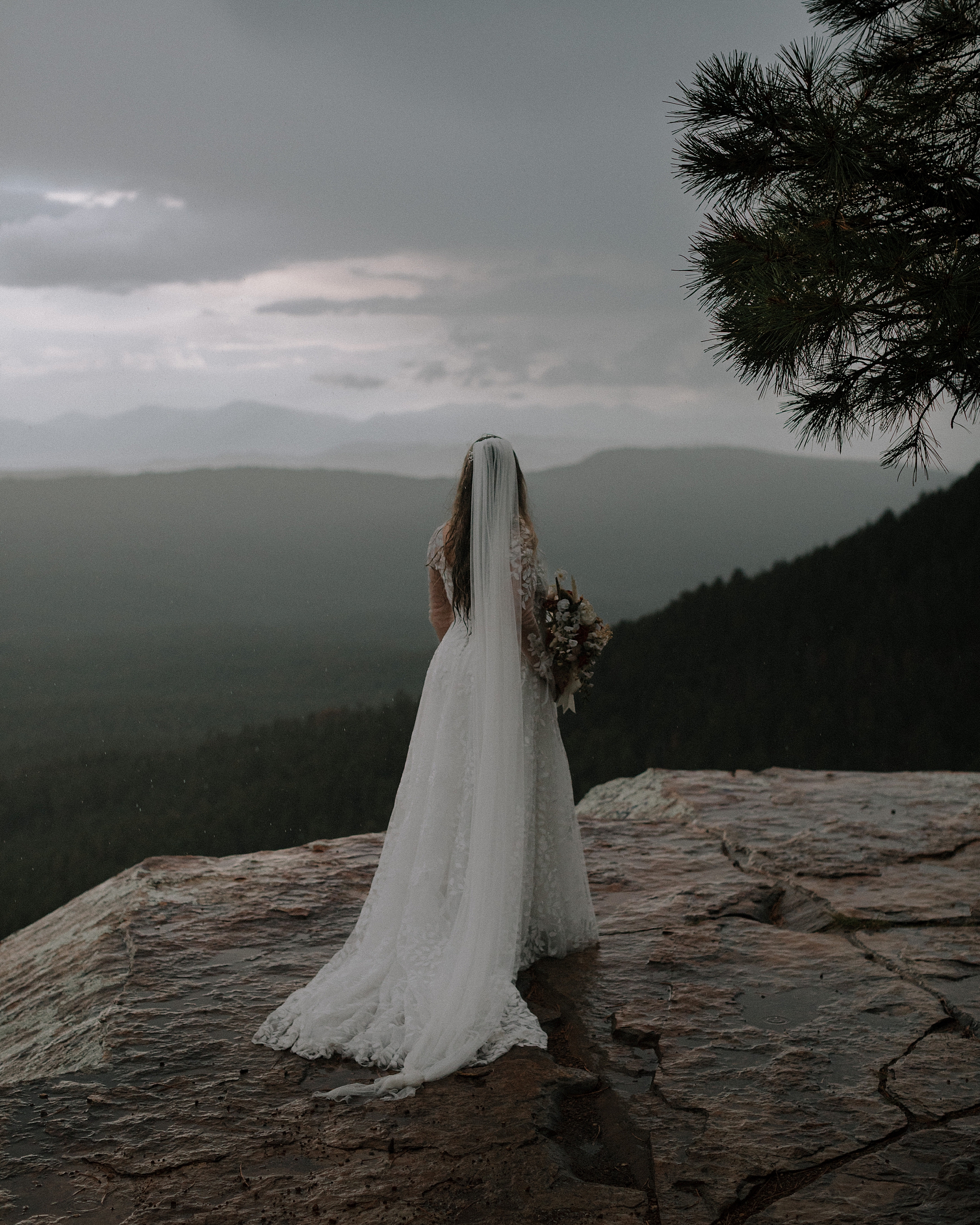 Bride looking out over misty Mogollon Rim forest