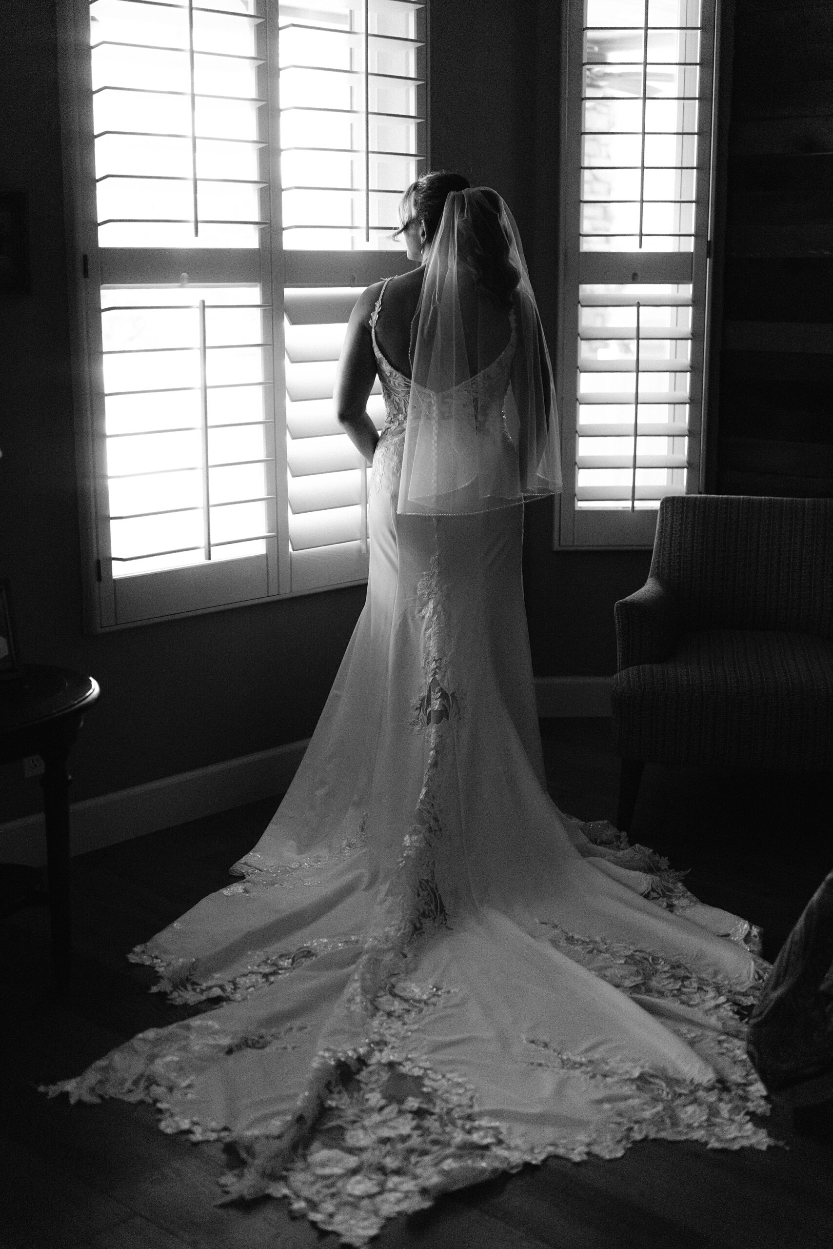 birde looking out the window in a backyard wedding in Phoenix, AZ